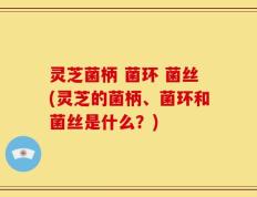 灵芝菌柄 菌环 菌丝(灵芝的菌柄、菌环和菌丝是什么？)