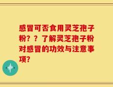 感冒可否食用灵芝孢子粉？？了解灵芝孢子粉对感冒的功效与注意事项？