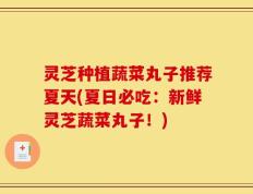 灵芝种植蔬菜丸子推荐夏天(夏日必吃：新鲜灵芝蔬菜丸子！)