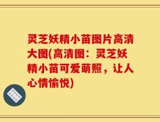 灵芝妖精小苗图片高清大图(高清图：灵芝妖精小苗可爱萌照，让人心情愉悦)