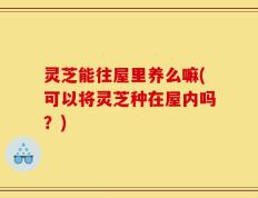 灵芝能往屋里养么嘛(可以将灵芝种在屋内吗？)