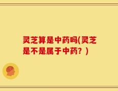 灵芝算是中药吗(灵芝是不是属于中药？)