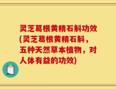 灵芝葛根黄精石斛功效(灵芝葛根黄精石斛，五种天然草本植物，对人体有益的功效)