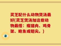灵芝配什么动物煲汤最好(灵芝煲汤加这些动物最搭：瘦猪肉、鸡骨架、鲍鱼或翅尖。)