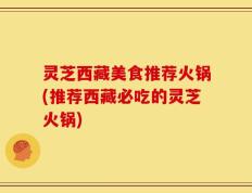 灵芝西藏美食推荐火锅(推荐西藏必吃的灵芝火锅)