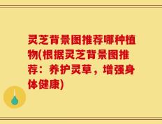灵芝背景图推荐哪种植物(根据灵芝背景图推荐：养护灵草，增强身体健康)