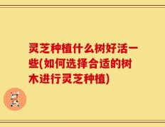 灵芝种植什么树好活一些(如何选择合适的树木进行灵芝种植)