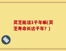 灵芝能活1千年嘛(灵芝寿命长达千年？)