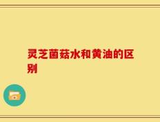 灵芝菌菇水和黄油的区别
