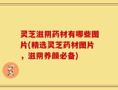 灵芝滋阴药材有哪些图片(精选灵芝药材图片，滋阴养颜必备)