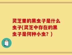 灵芝里的黑虫子是什么虫子(灵芝中存在的黑虫子是何种小虫？)