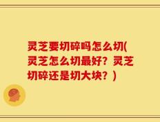灵芝要切碎吗怎么切(灵芝怎么切最好？灵芝切碎还是切大块？)
