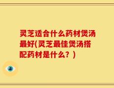 灵芝适合什么药材煲汤最好(灵芝最佳煲汤搭配药材是什么？)
