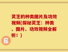 灵芝的种类图片及功效视频(探秘灵芝：种类、图片、功效视频全解析！)