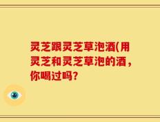 灵芝跟灵芝草泡酒(用灵芝和灵芝草泡的酒，你喝过吗？