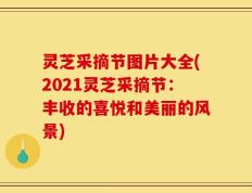灵芝采摘节图片大全(2021灵芝采摘节：丰收的喜悦和美丽的风景)