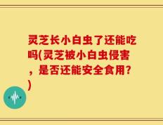 灵芝长小白虫了还能吃吗(灵芝被小白虫侵害，是否还能安全食用？)