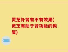 灵芝补肾有不有效果(灵芝有助于肾功能的恢复)