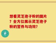 想看灵芝孢子粉的图片？全方位展示灵芝孢子粉的营养与功效？