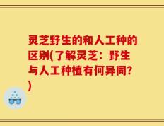 灵芝野生的和人工种的区别(了解灵芝：野生与人工种植有何异同？)