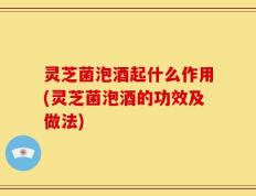 灵芝菌泡酒起什么作用(灵芝菌泡酒的功效及做法)