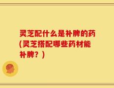 灵芝配什么是补脾的药(灵芝搭配哪些药材能补脾？)