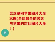 灵芝鉴别苹果图片大全大图(全网最全的灵芝与苹果的对比图片大全！)