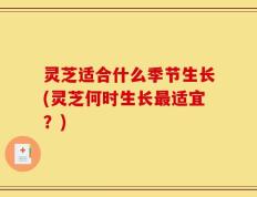 灵芝适合什么季节生长(灵芝何时生长最适宜？)