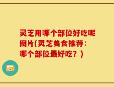 灵芝用哪个部位好吃呢图片(灵芝美食推荐：哪个部位最好吃？)