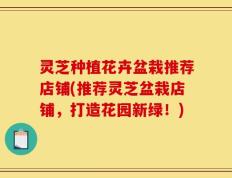 灵芝种植花卉盆栽推荐店铺(推荐灵芝盆栽店铺，打造花园新绿！)