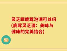 灵芝跟鹿茸泡酒可以吗(鹿茸灵芝酒：美味与健康的完美结合)