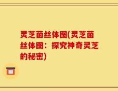 灵芝菌丝体图(灵芝菌丝体图：探究神奇灵芝的秘密)