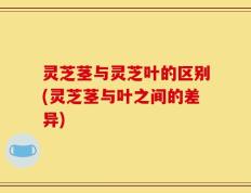 灵芝茎与灵芝叶的区别(灵芝茎与叶之间的差异)
