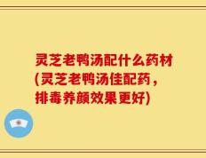 灵芝老鸭汤配什么药材(灵芝老鸭汤佳配药，排毒养颜效果更好)
