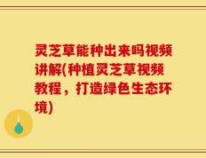 灵芝草能种出来吗视频讲解(种植灵芝草视频教程，打造绿色生态环境)
