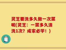 灵芝要洗多久做一次菜呢(灵芝：一菜多久清洗1次？成家必学！)