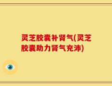 灵芝胶囊补肾气(灵芝胶囊助力肾气充沛)