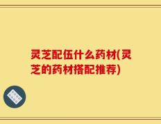 灵芝配伍什么药材(灵芝的药材搭配推荐)