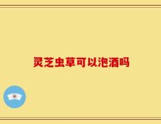 灵芝虫草可以泡酒吗