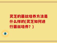 灵芝的菌丝培养方法是什么样的(灵芝如何进行菌丝培养？)