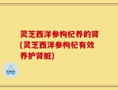 灵芝西洋参枸杞养的肾(灵芝西洋参枸杞有效养护肾脏)