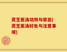 灵芝蒸汤功效与禁忌(灵芝蒸汤好处与注意事项)