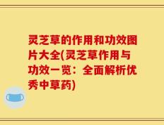 灵芝草的作用和功效图片大全(灵芝草作用与功效一览：全面解析优秀中草药)