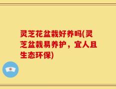 灵芝花盆栽好养吗(灵芝盆栽易养护，宜人且生态环保)