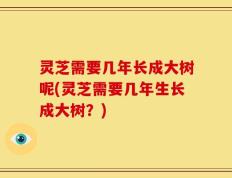 灵芝需要几年长成大树呢(灵芝需要几年生长成大树？)