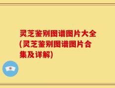 灵芝鉴别图谱图片大全(灵芝鉴别图谱图片合集及详解)