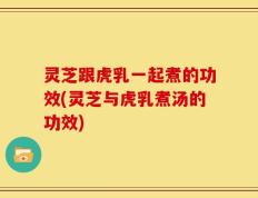 灵芝跟虎乳一起煮的功效(灵芝与虎乳煮汤的功效)