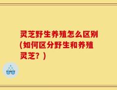 灵芝野生养殖怎么区别(如何区分野生和养殖灵芝？)