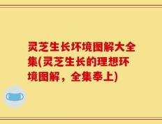 灵芝生长坏境图解大全集(灵芝生长的理想环境图解，全集奉上)