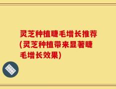 灵芝种植睫毛增长推荐(灵芝种植带来显著睫毛增长效果)